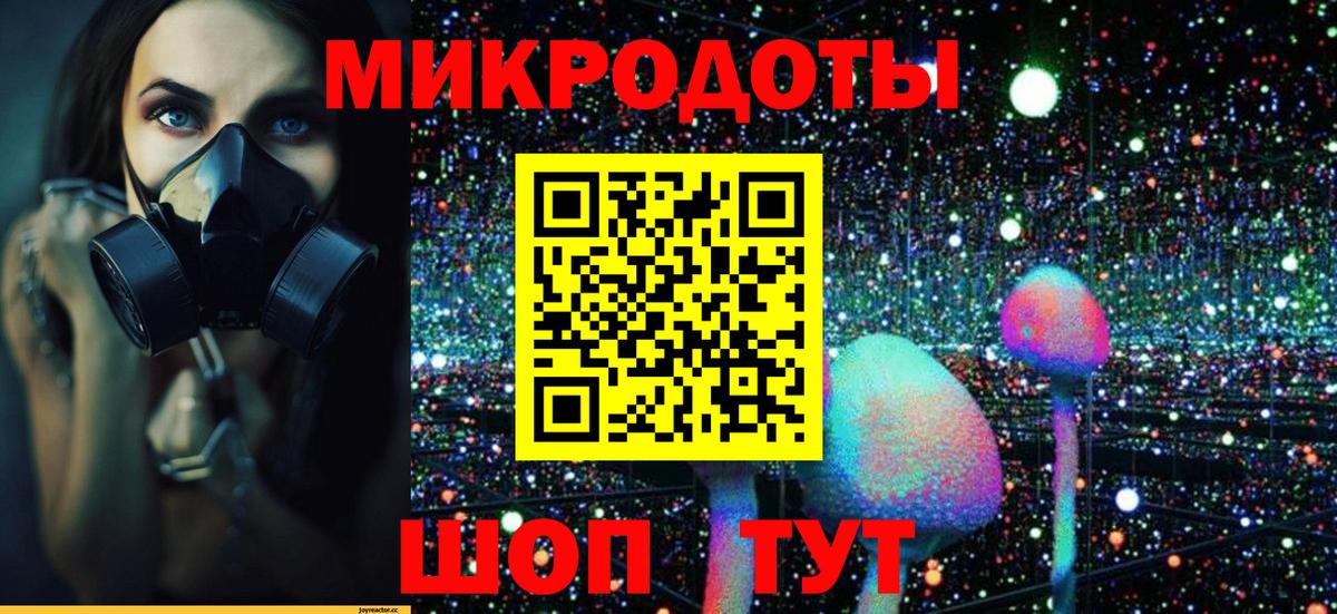 Галлюциногенные грибы мухоморы Богородск
