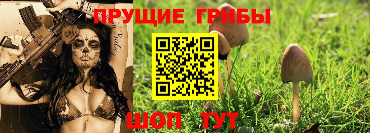 Псилоцибиновые грибы ЛСД  Вход с VPN  Богородск 